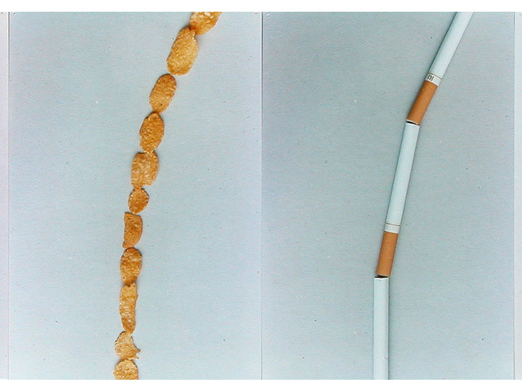 Claude Closky, ‘Bends that don’t veer to the right and bends that don’t veer to the left’, 1995, c-print, permanent felt pen, 23 x 385 cm (25 prints 22,5 x 15,2 cm).